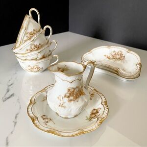9 Piece SET - Brown Roses - Haviland Limoges
